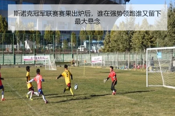 img_1781433150420_100_0_766.jpg | liuhecai